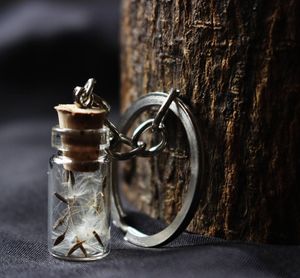 Image post by @leafyaffair on Instagram