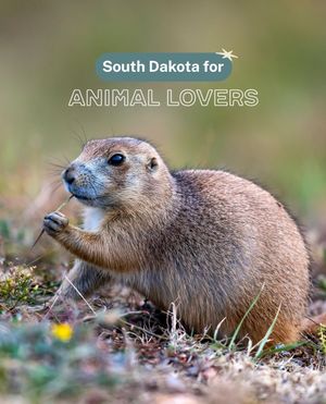 Image post by @travelsouthdakota on Instagram