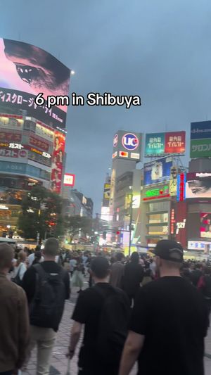 Video post by @txmtravel1 on TikTok
