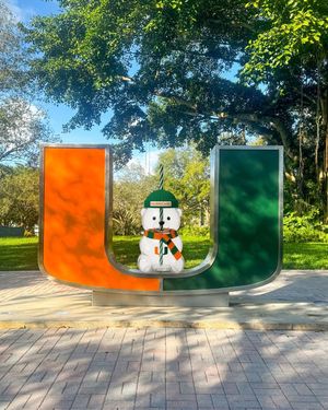 Image post by @univmiami on Instagram