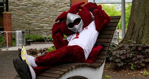 Image post by @TempleAlumni on Twitter