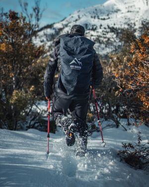 Image post by @estebanllaurado on Instagram