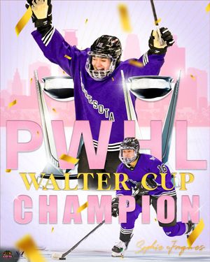 Image post by @BlackGirlHockey on Twitter