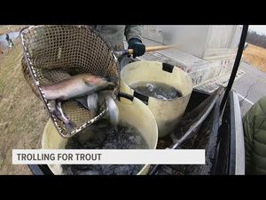 Video post by @Wqadnews8 on YouTube