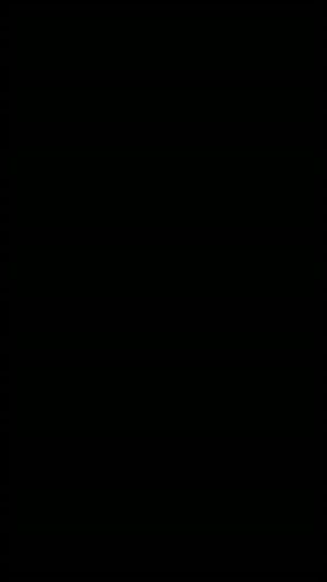 Video post by @FCSBOfficial on Facebook