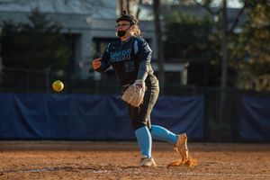 Image post by @BerrySoftball on Twitter