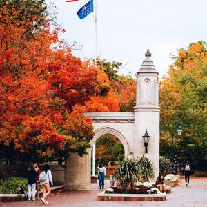 Image post by @alexpaulphoto on Twitter