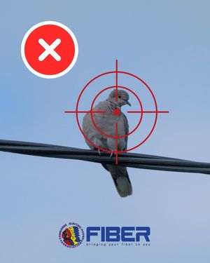 Image post by @TombigbeeFiber on Facebook