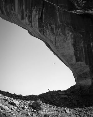 Image post by @noahwetzel on Instagram