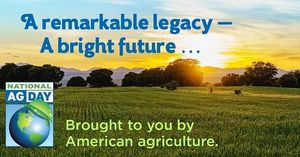 Image post by @goodstewardconsulting on Instagram