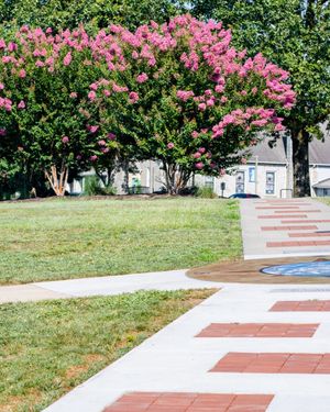Image post by @swu_edu on Instagram