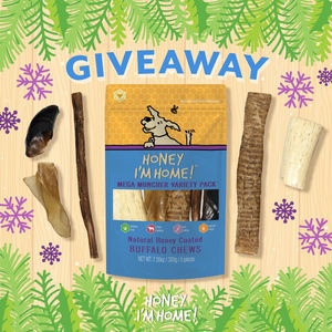 Image post by @honeyimhome on Instagram