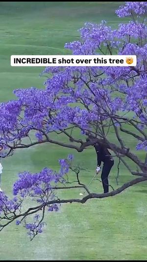 Image post by @hyflyersgc on Facebook