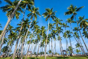 Image post by @vivaresorts on Instagram