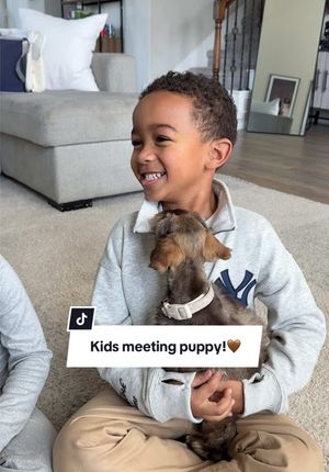 Video post by @jaylabrenae5 on TikTok