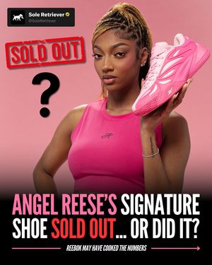 Image post by @soleretriever on Instagram