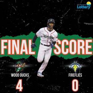 Image post by @gowoodducks on Instagram