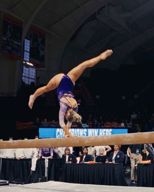 Image post by @uwgymnastics on Instagram
