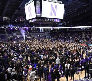 Image post by @barstoolcats on Instagram