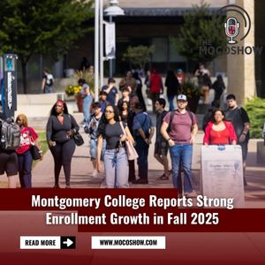 Image post by @themocoshow on Instagram