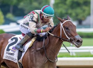 Image post by @thebloodhorse on Instagram