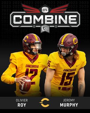 Image post by @the_stingers on Instagram
