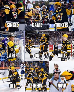 Image post by @wbspenguins on Instagram