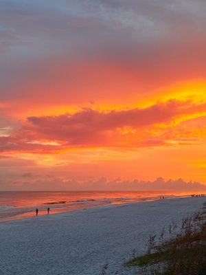 Image post by @SouthWalton on Twitter