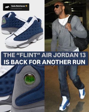 Image post by @soleretriever on Instagram