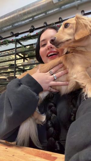 Video post by @laurenspencerspam on TikTok