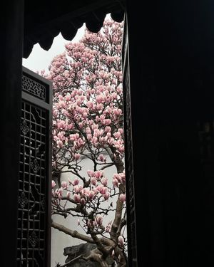 Image post by @dearsamfu on Instagram