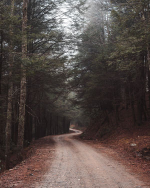 Image post by @wandernorthga on Instagram