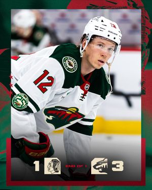 Image post by @mnwild on Twitter