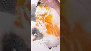 Video post by @bromleysartsupplies on YouTube