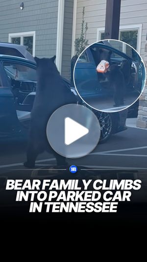 Image post by @dailymail on Instagram