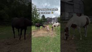 Video post by @johnlferguson on YouTube