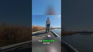 Video post by @lakeforkguy on YouTube
