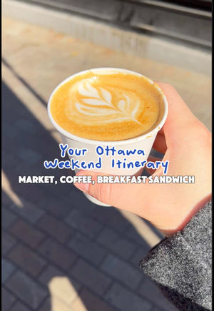 Video post by @morgan.exploring on TikTok