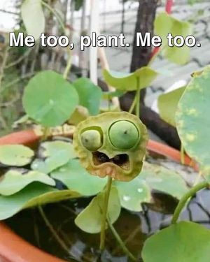 Image post by @shopearthhero on Instagram