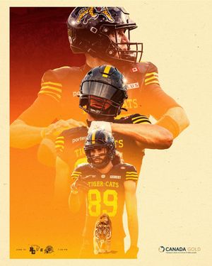 Image post by @hamiltontigercats on Instagram