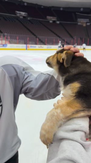 Video post by @cincinnaticyclones on Facebook