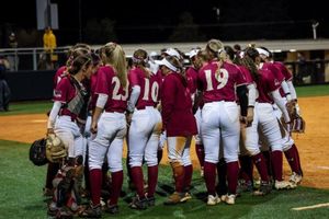 Image post by @elonsoftball on Instagram