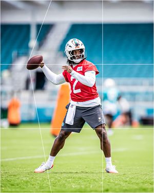 Image post by @miamidolphins on Instagram