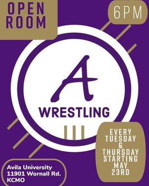 Image post by @avilawrestling on Instagram