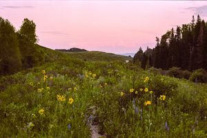 Image post by @W.39thPhotos on Facebook
