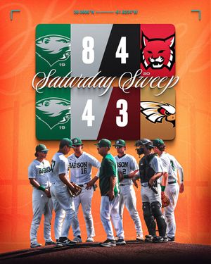 Image post by @babsonbaseball on Instagram