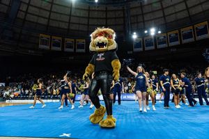 Image post by @champ_bobcat on Instagram