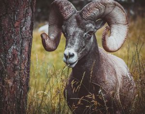 Image post by @klasakphoto on Instagram