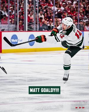 Image post by @minnesotawild on Instagram