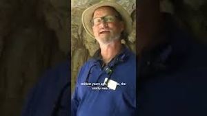 Video post by @kmphfox26 on YouTube